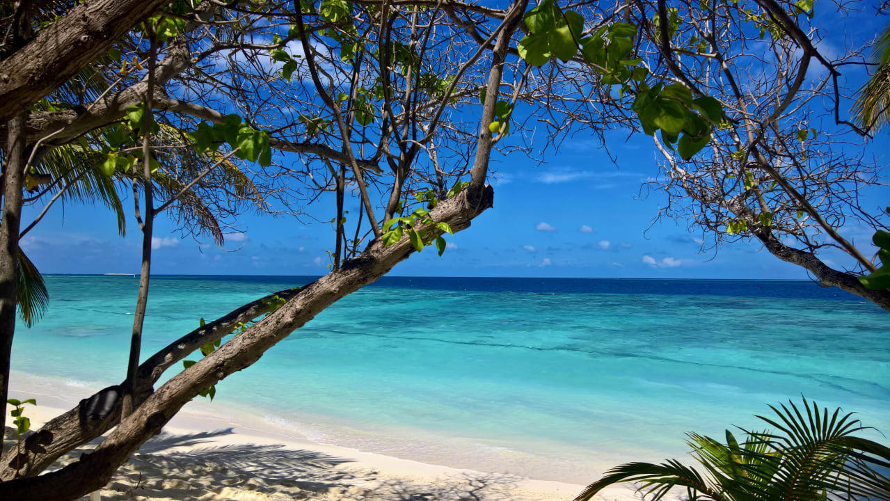 An der Nordseite nicht mehr viel Strand übrig Diamonds Thudufushi