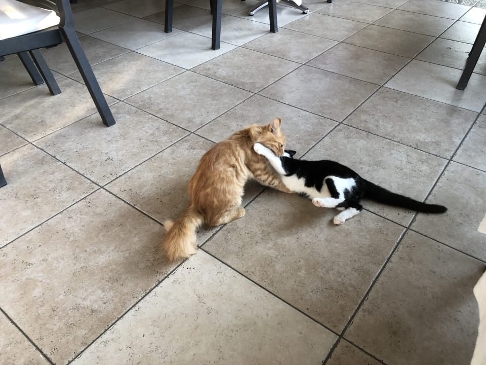 Sonstiges Can Garden Resort