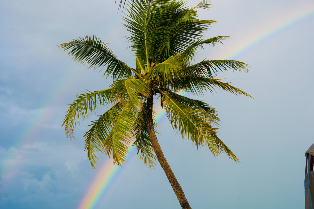 Ausblick Wakatobi Dive Resort