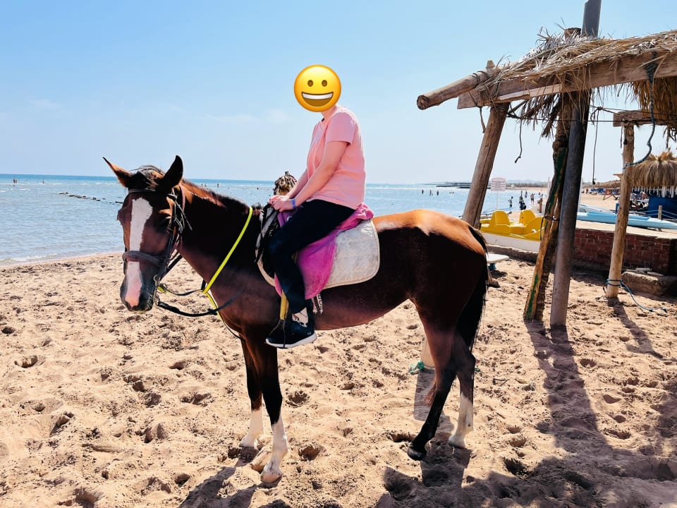Strand Pickalbatros Aqua Blu Resort - Hurghada