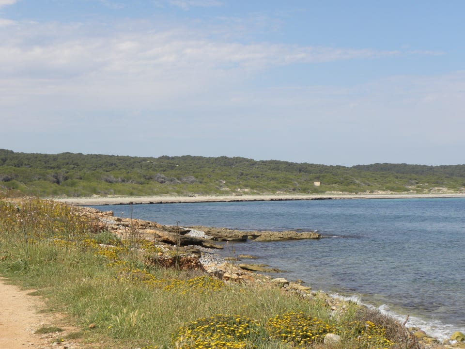 Strand vor dem Hotel Es Blau des Nord