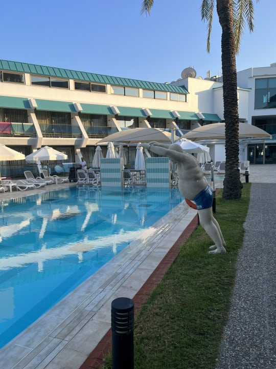 Pool Side Star Elegance