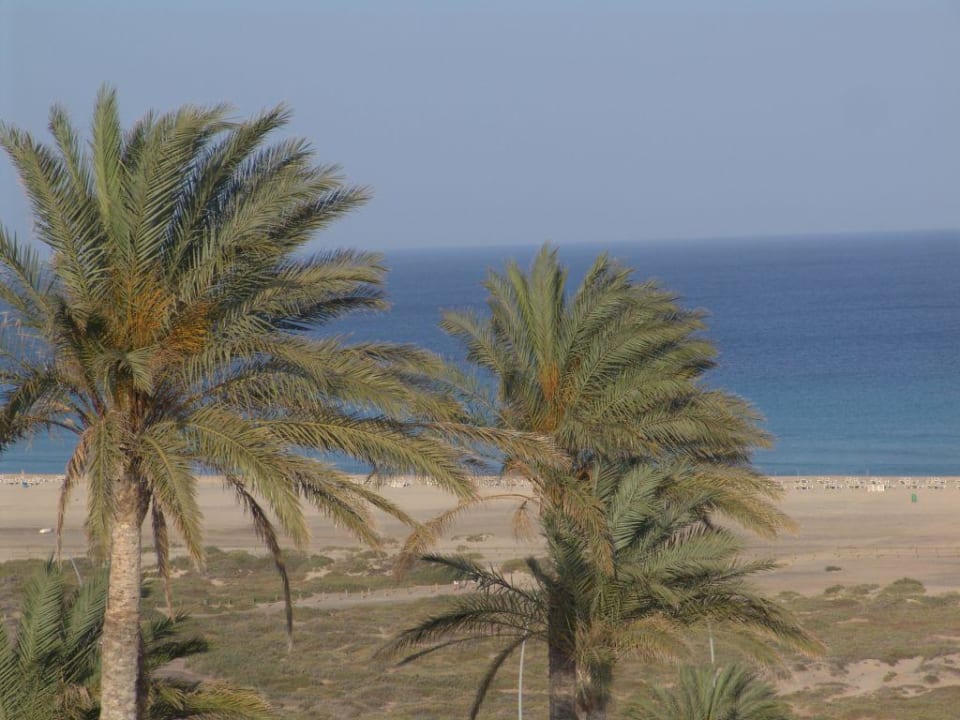 Ausblick aus dem Zimmer Occidental Jandía Playa