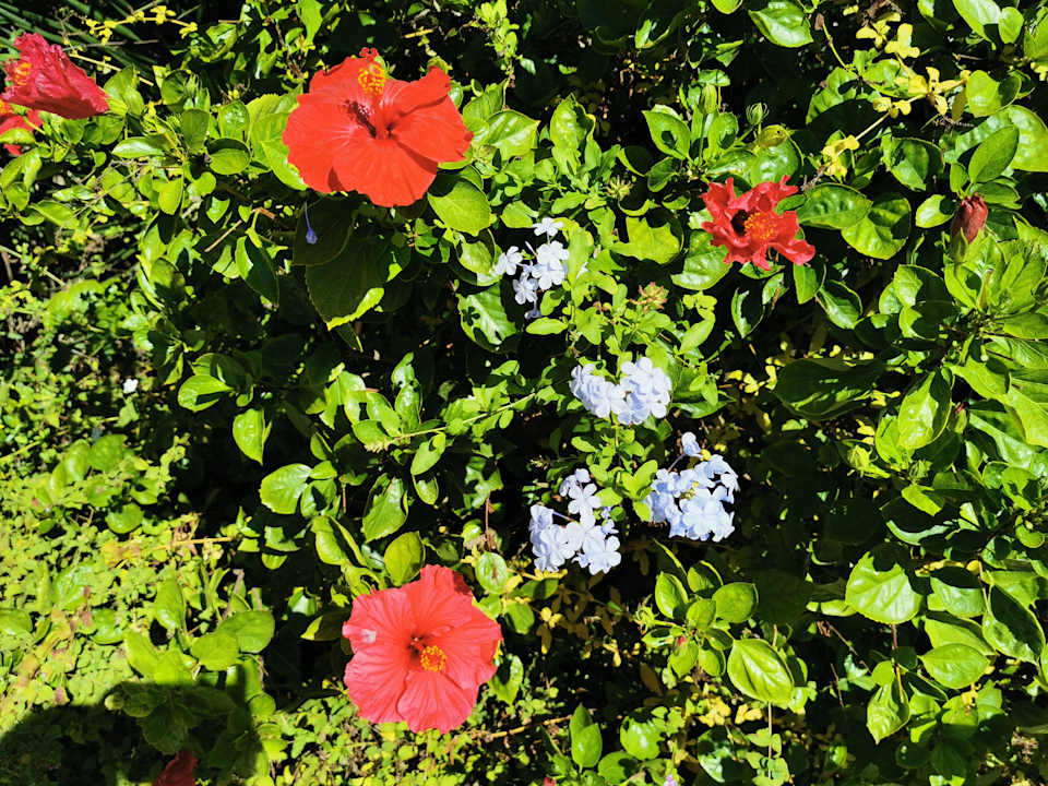 Gartenanlage ROBINSON QUINTA DA RIA