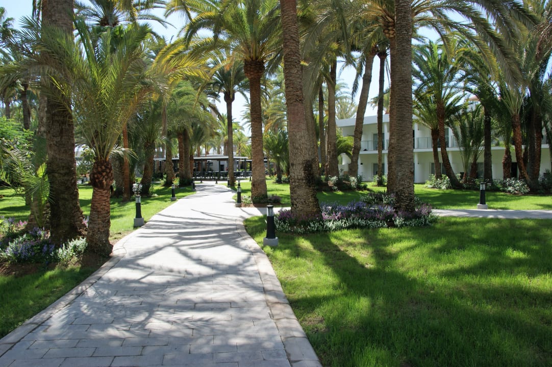 Gartenanlage Hotel Riu Palace Oasis