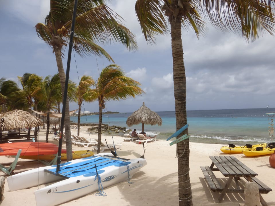 Der Hotelstrand Hotel Plaza Resort Bonaire