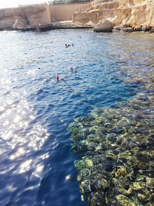 Strand The Grand Hotel Sharm El Sheikh