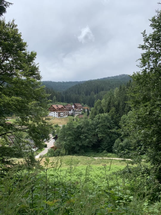 Außenansicht Wellnesshotel Forsthaus Auerhahn