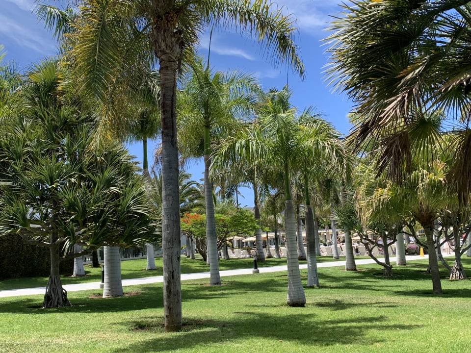 Gartenanlage Hotel Riu Palace Meloneras