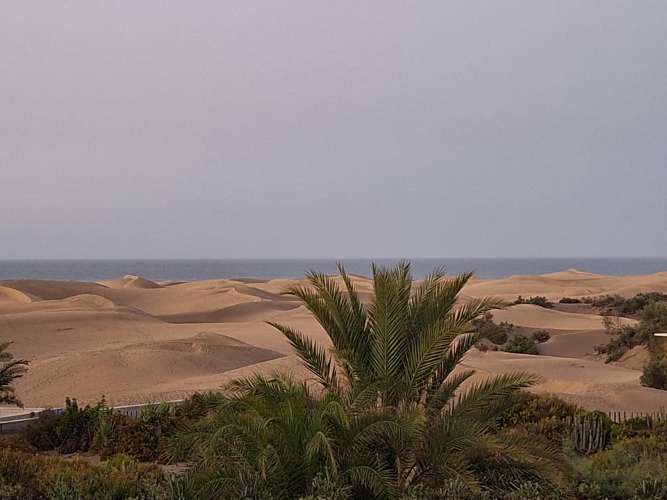 Ausblick Hotel Riu Palace Maspalomas Adults Only
