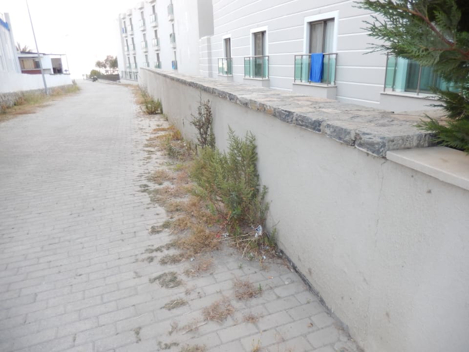 Außenansicht MyElla Bodrum Resort & Spa