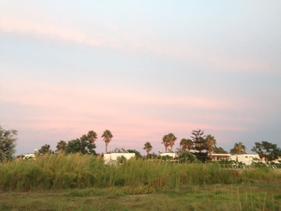 Ausblick Hotel Tigaki's Star