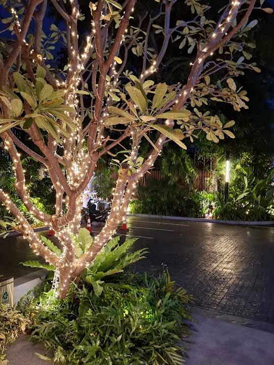 Gartenanlage Hotel Amber Pattaya
