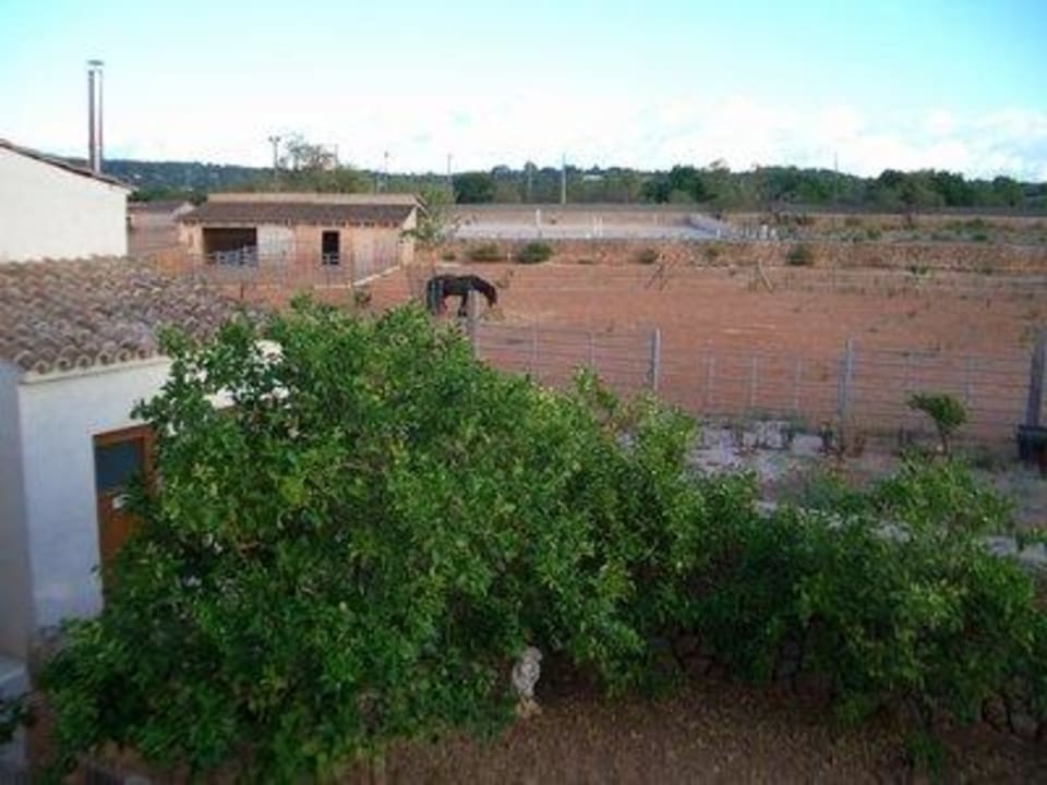 Ausblick auf Pferdekoppel Hotel Finca Can Paulino