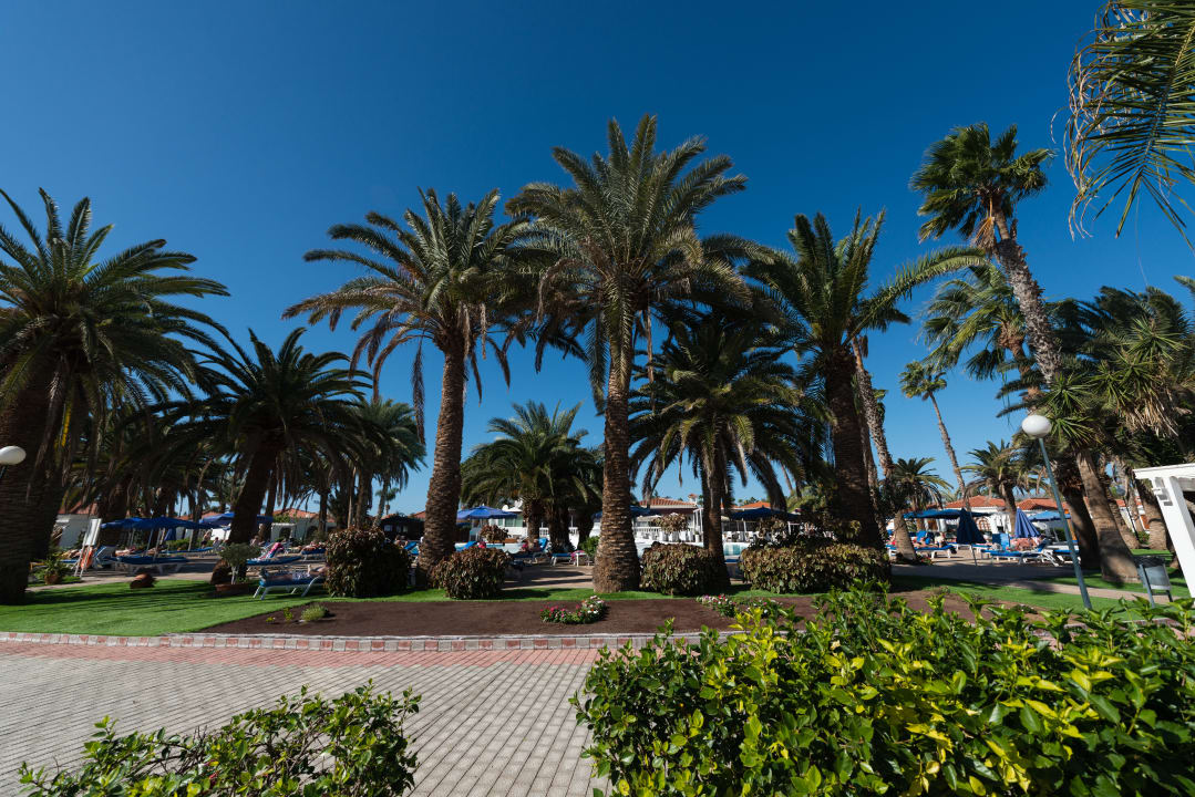 Gartenanlage eó Suite Hotel Jardin Dorado