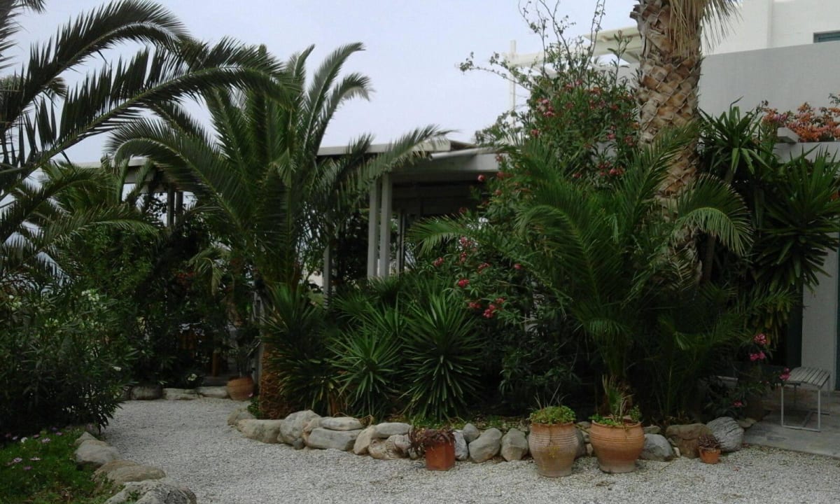 Grünanlage zwischen Eingangsbereich und Terrasse Hotel Plakures