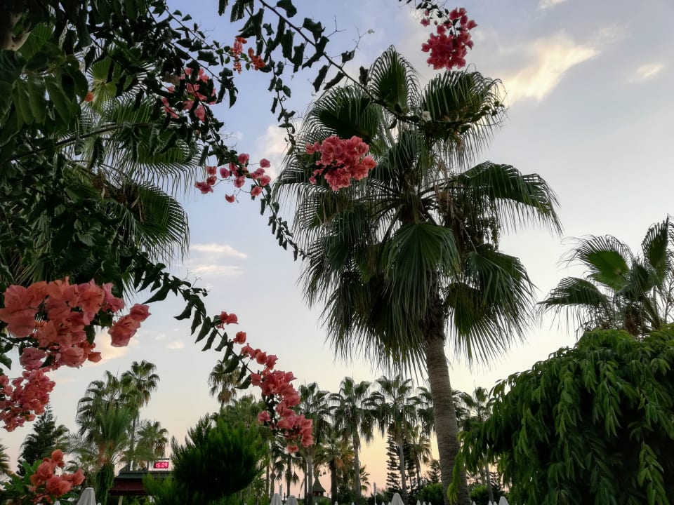 Garten Saphir Hotel & Villas