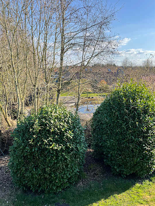 Zimmer Hotel Blauer Fasan