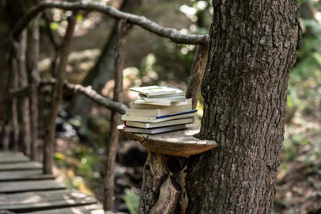 Sport & Freizeit Agribenessere Agli Abatti