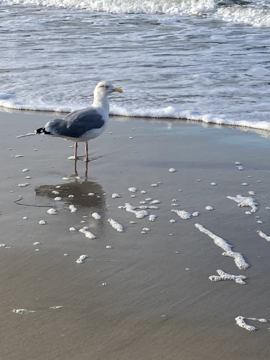 Strand Inselhof Vineta