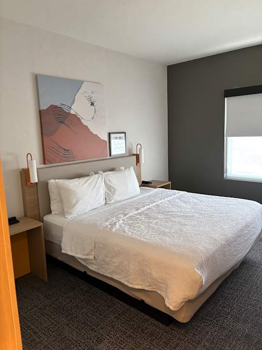 Zimmer Spark By Hilton Las Vegas Airport