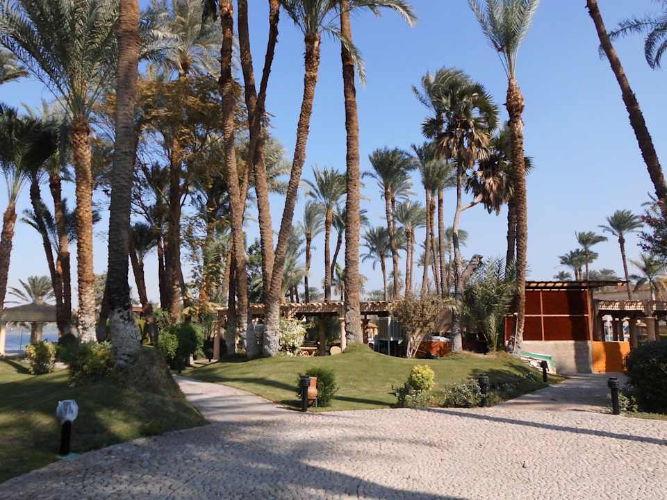 Garten Mercure Luxor Karnak
