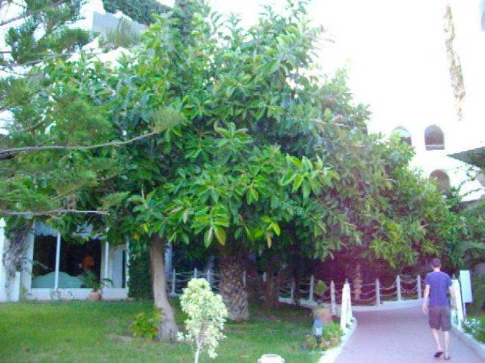 Weg zum Hauptrestaurant Mahdia Beach & Aquapark