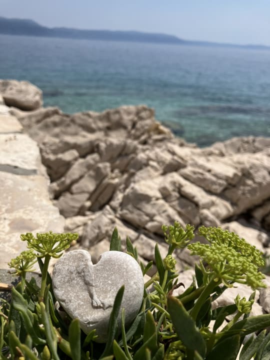 Strand Valamar Sanfior Hotel & Casa