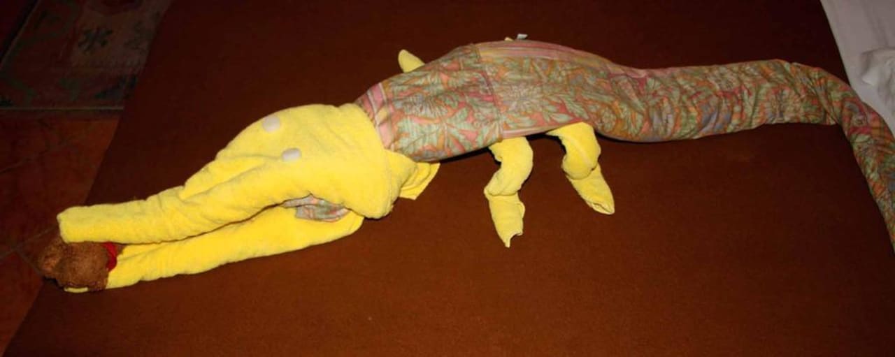 Krokodil   Arabia Azur Resort