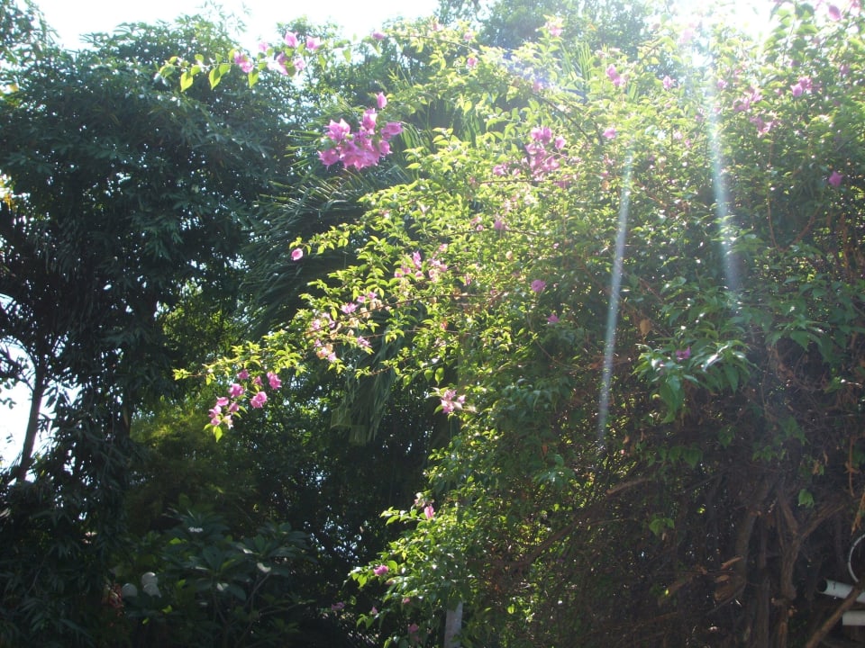 Paradies Loma Resort & Spa