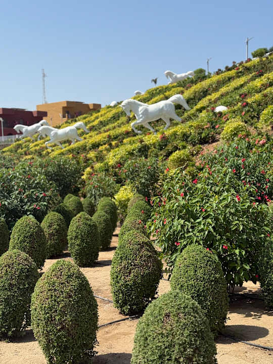 Gartenanlage Pickalbatros Villaggio Resort - Portofino
