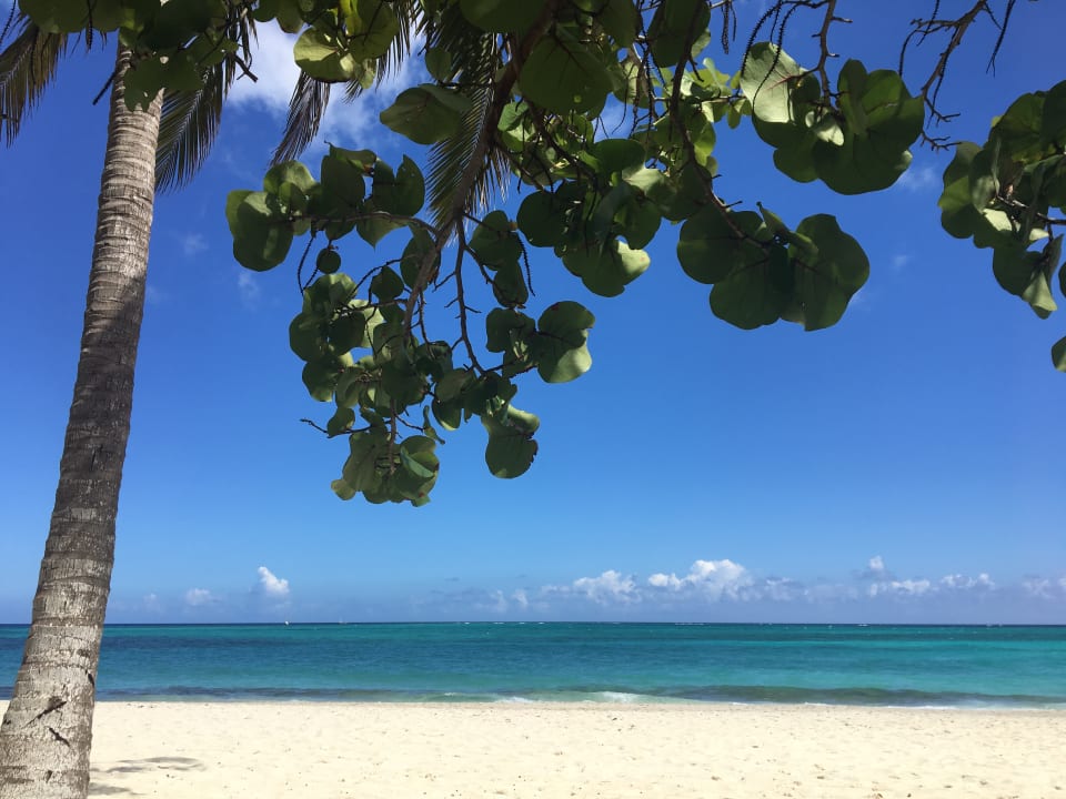Strand Sol Rio De Luna y Mares