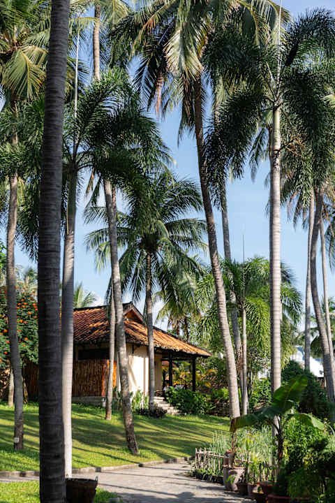 Gartenanlage Seahorse Resort & Spa