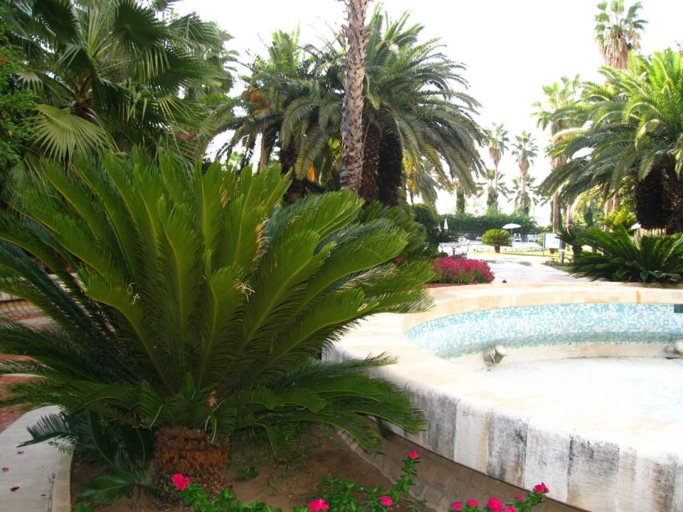 Отель Hotel Özkaymak Falez