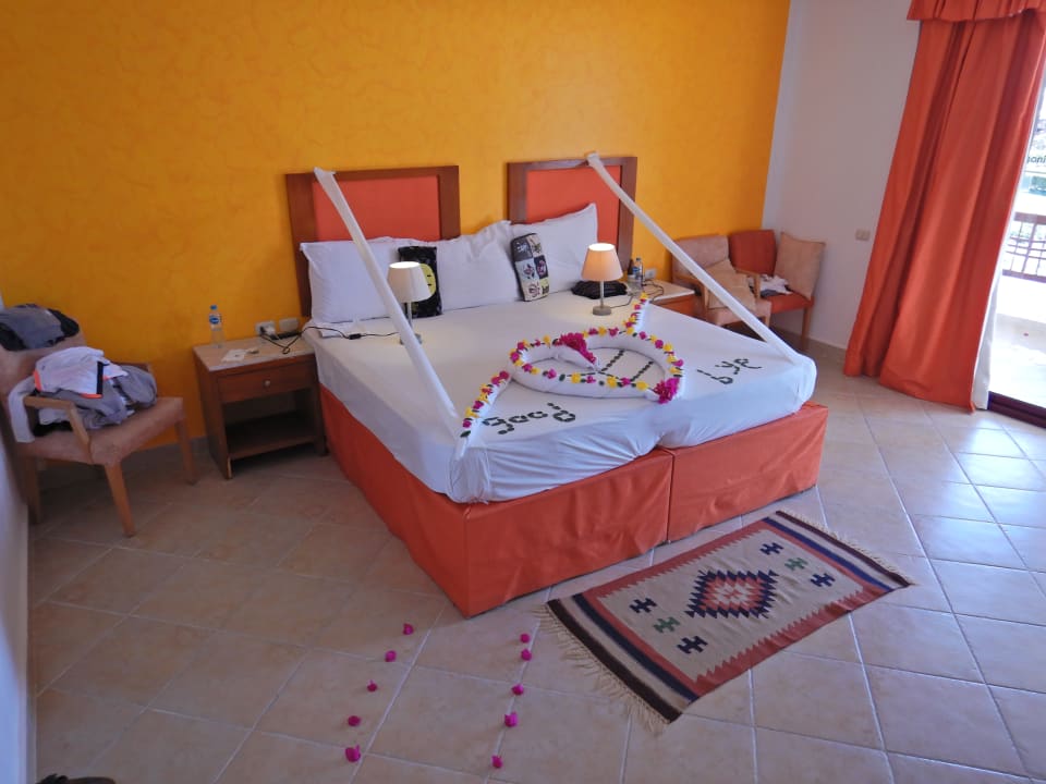 Zimmer Hotel Gorgonia Beach Resort