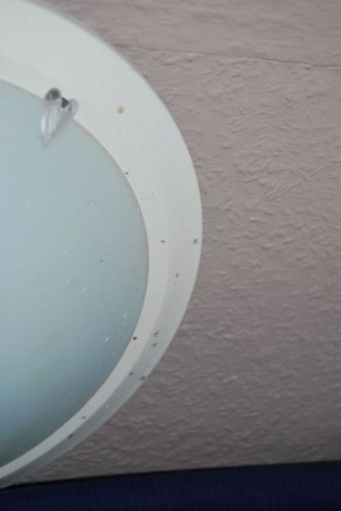 Lampe City Hostel Bellamontis