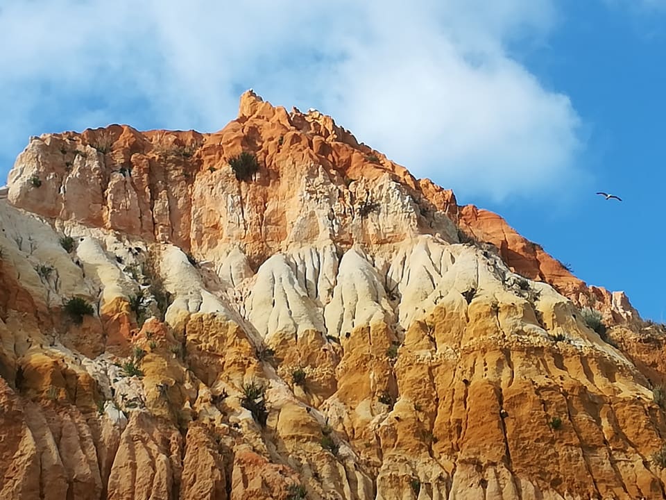 Strand PortoBay Falésia