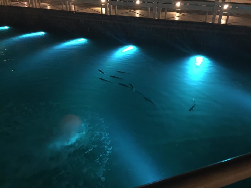 Lagune bei Abend Pickalbatros Dana Beach Resort - Hurghada