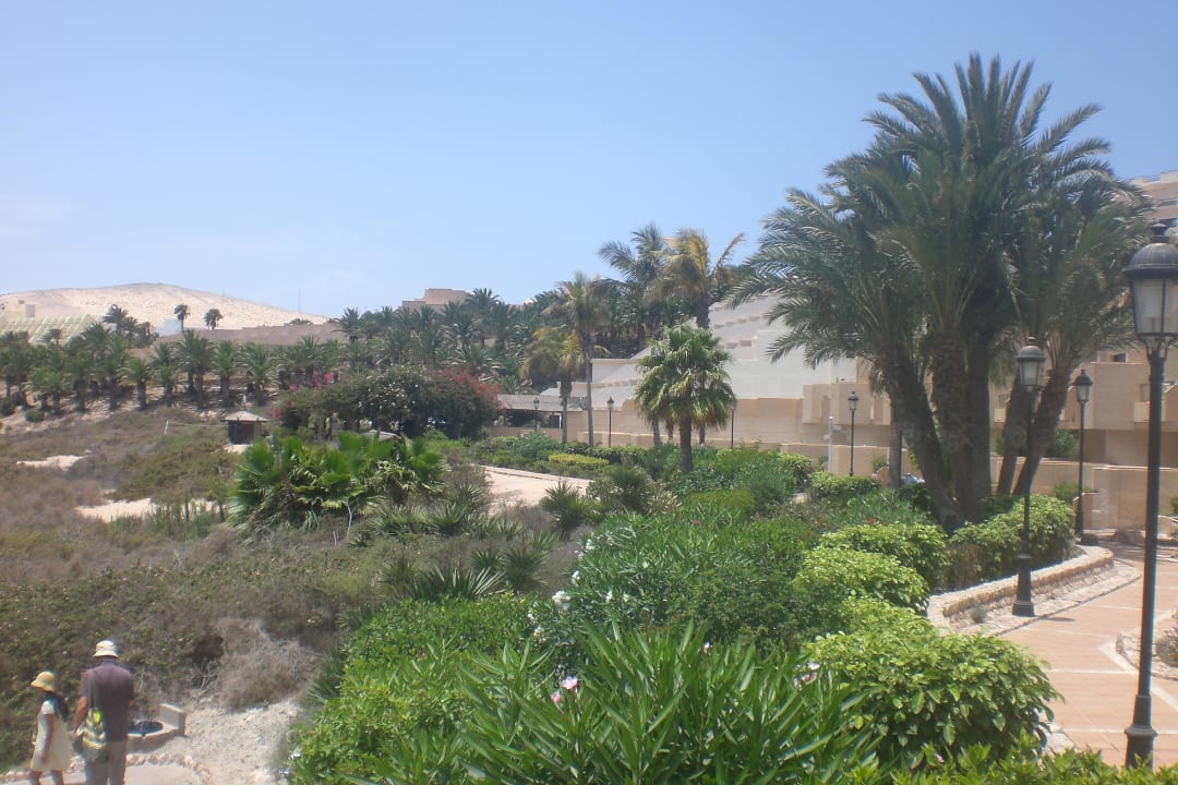Subtropischer Garten zwischen Strand und Hotel SBH Hotel Taro Beach