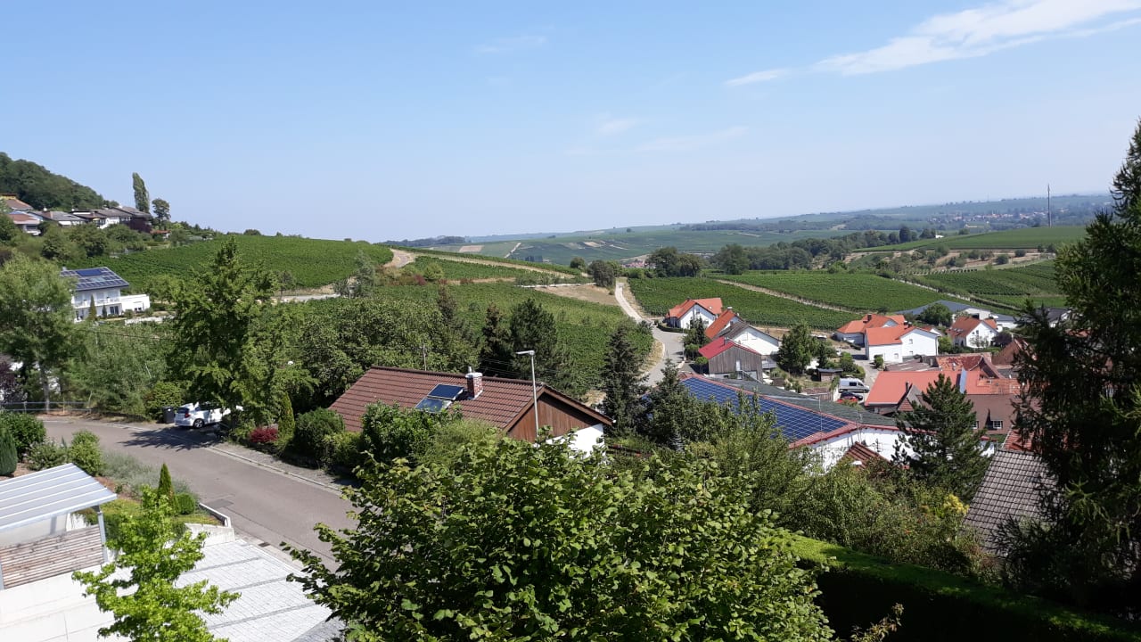 Ausblick Pension Haus Rebenblüte