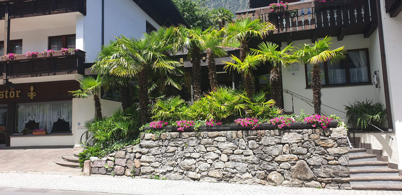 Außenansicht Palmengarten Hotel Gstör