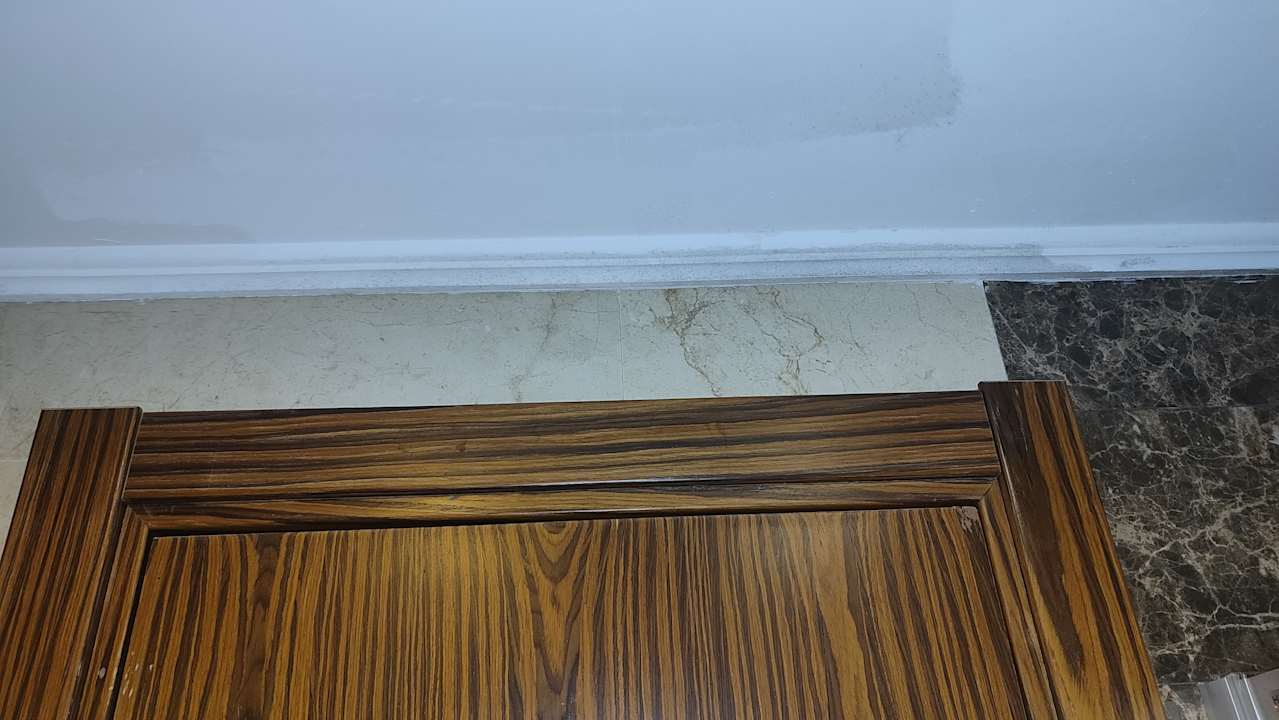 Zimmer Club Side Coast