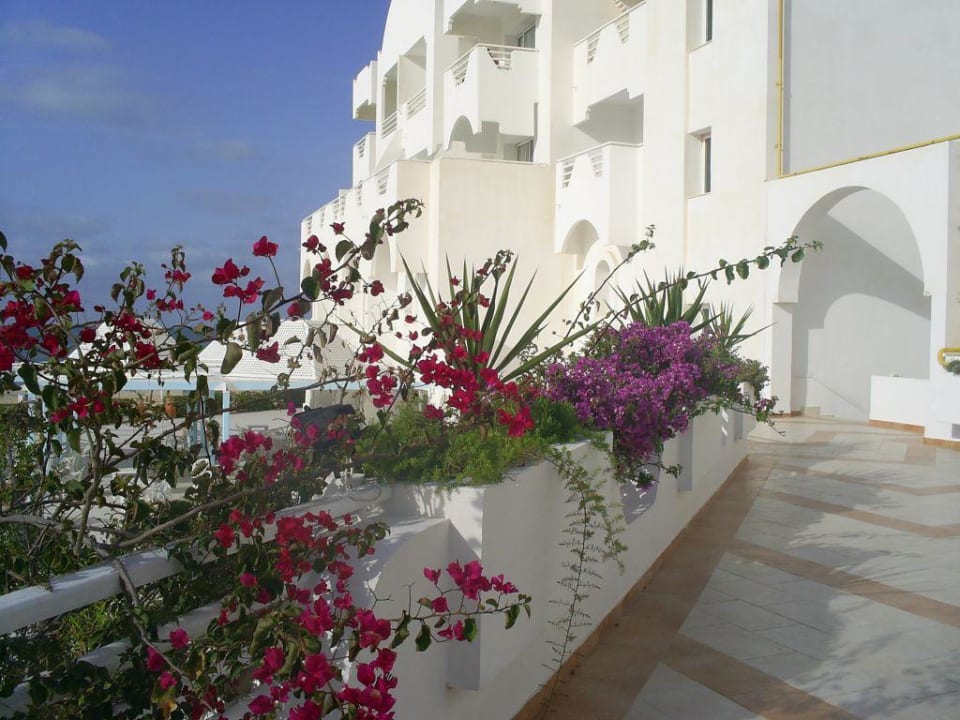 Hotel Hotel Bravo Djerba