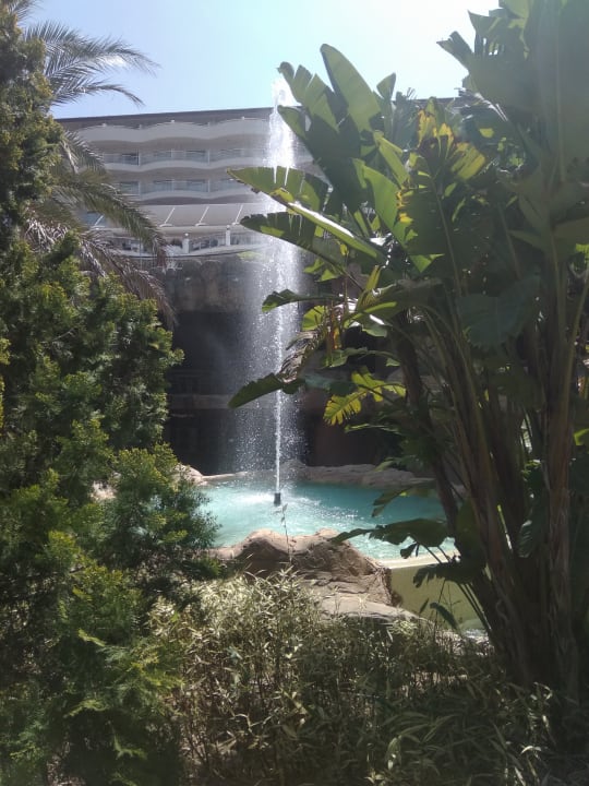 Gartenanlage Sunrise Resort Hotel