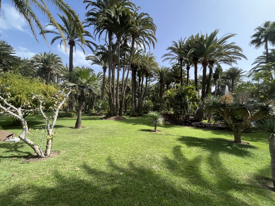 Außenansicht Hotel Riu Palace Oasis