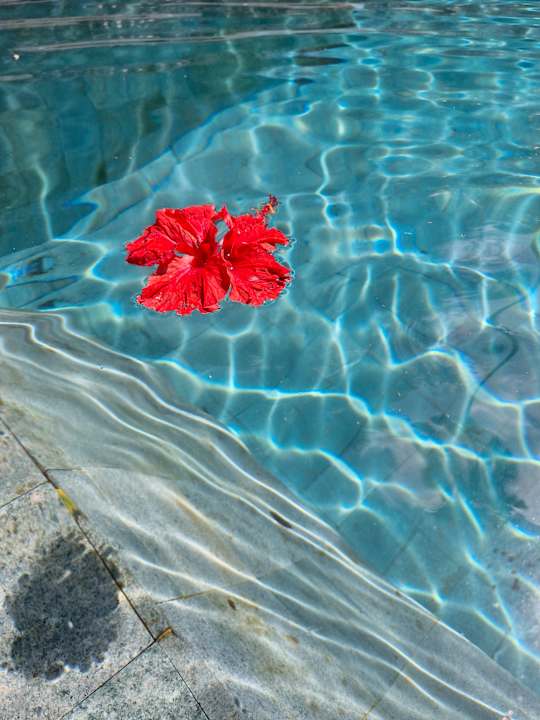 Pool Hotel Tjampuhan