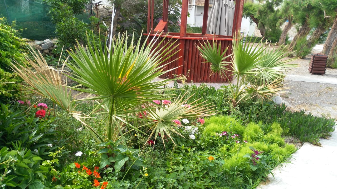 Gartenanlage Hotel South Coast