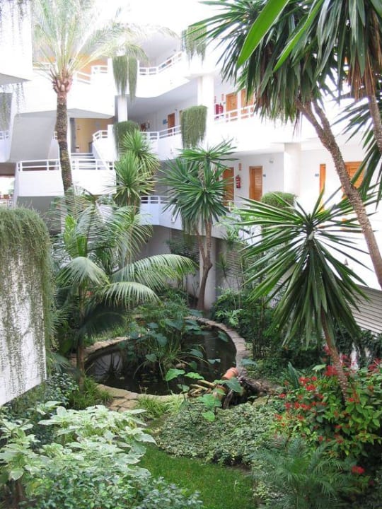 Hotelgang mit Grün Iberostar Waves Playa de Muro