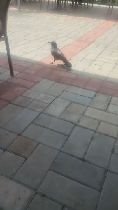 Gartenanlage Labranda Alantur Resort