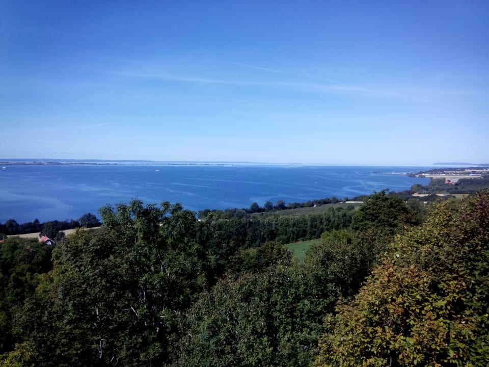 Cafe Terrasse Hotel Gyllene Uttern